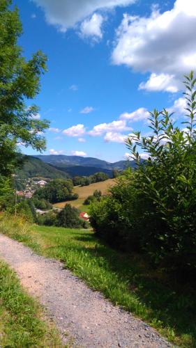 a gravel road with a green field and a blue sky at VVF Alsace Orbey Colmar in Orbey