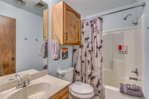 a bathroom with a sink and a toilet and a shower at Hike, Golf & Explore: Ruidoso Retreat w/ Deck! in Ruidoso