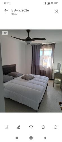 appartement sympa