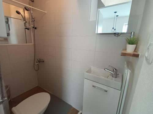 a small bathroom with a toilet and a sink at Apartman studio in Privlaka