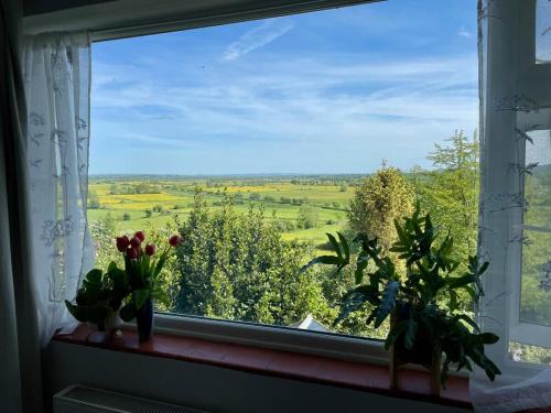 a window with flowers and plants on a window sill at Magic of Avalon in Glastonbury