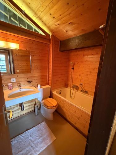 a bathroom with a toilet and a tub and a sink at Beautiful chalet with exceptional views, very quiet in Gryon