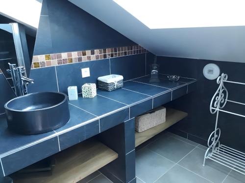 a bathroom with a sink and a blue wall at Domaine De Jassenove in Millau