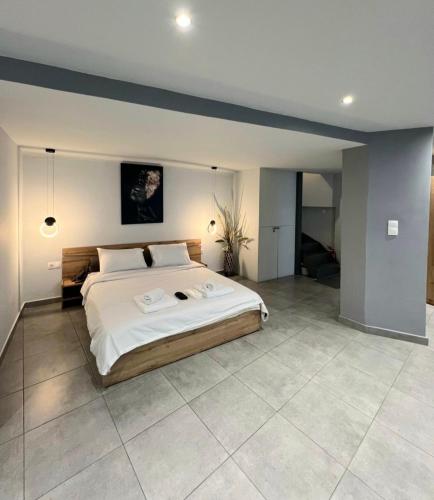 Thissio Luxury open-plan loft