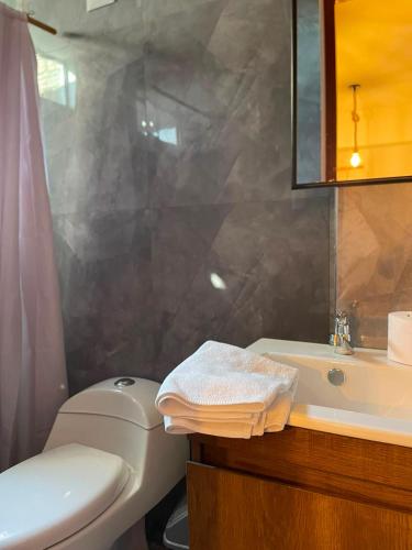 a bathroom with a toilet and a sink and a mirror at Hospedaje Hamuy's Lodge in Ica