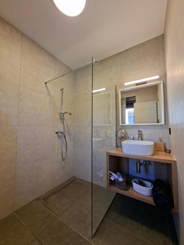 a bathroom with a glass shower and a sink at Vila Mila Private Pool Retreat in Radetići