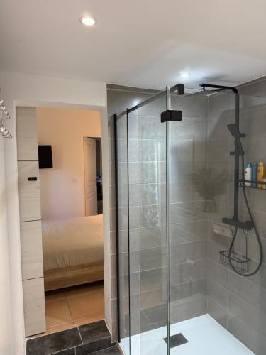a bathroom with a glass shower with a bed at Bavella in Zonza