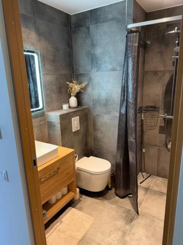 a bathroom with a toilet and a shower at Liiva apartement Kärdla in Kärdla