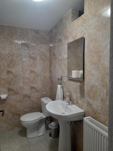 a bathroom with a white toilet and a sink at Cabana Andrea in Arpaşu de Sus