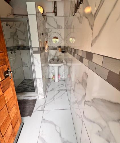 a bathroom with a shower and a sink at Bliss in Marloth Park