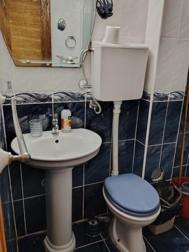 a small bathroom with a toilet and a sink at Apartmani Medo in Risan
