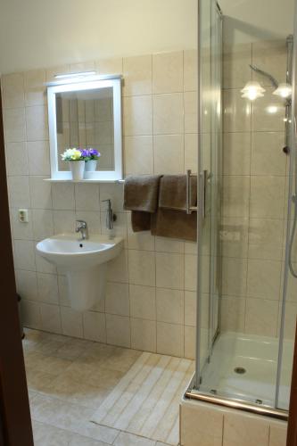 a bathroom with a sink and a shower at Pivovarský dvůr Plasy in Plasy