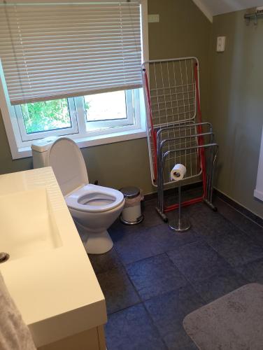 a bathroom with a toilet and a window at tau bed and breakfast in Strand
