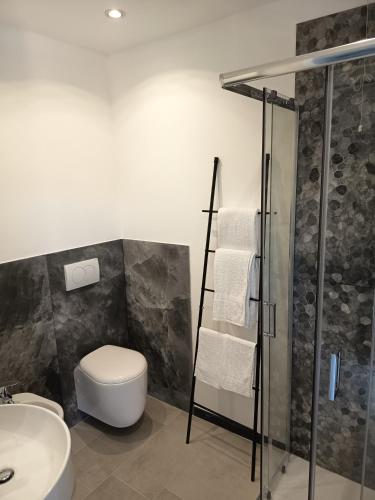 a bathroom with a toilet and a shower and a sink at Setteacque Lakeview Rooms in Piediluco