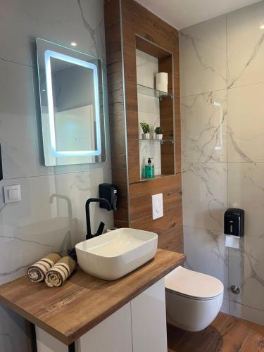 a bathroom with a white sink and a toilet at Villa Jovičić in Prijedor