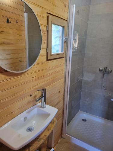 a bathroom with a sink and a shower at Roulotte à figeac in Figeac