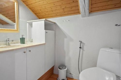 a bathroom with a toilet and a sink at 4025-Borre-Liselundvej-20 in Borre