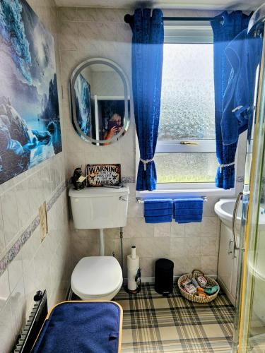 a small bathroom with a toilet and a mirror at The Little Green Hideaway in Fivemiletown