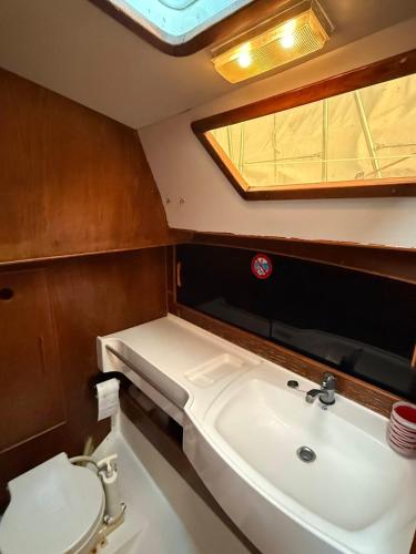 a small bathroom with a sink and a toilet at Fully equipped sailing boat & exploring zodiac in Nyon