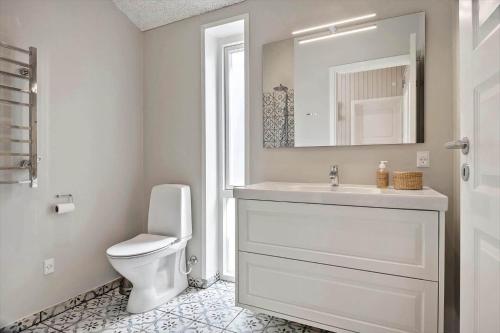 a bathroom with a toilet and a sink and a mirror at 30454-Odder-Saksild-Strandfaelled-51 in Dyngby