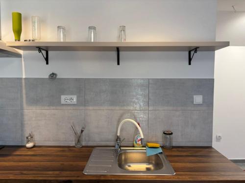 a kitchen with a sink and a shelf above it at Apartmani Rosa in Rača
