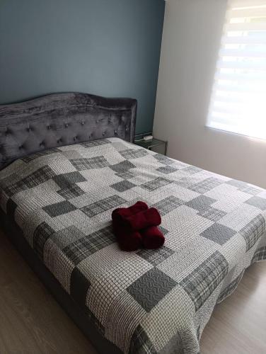 a bed with a checkered blanket with two red pillows on it at Rukiši in Saulkrasti