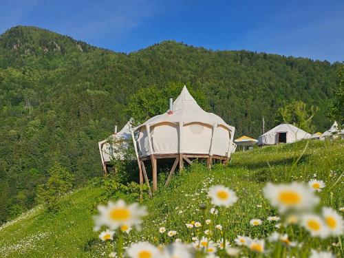 a gazebo on a hill in a field of flowers at Glamping Tago in Khulo