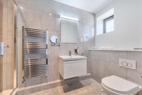 a bathroom with a toilet and a sink and a mirror at Cotswolds Apartment 3 Sleeps 9 in Chipping Norton