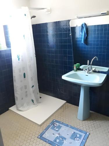 a blue tiled bathroom with a sink and a shower at La Ferme Du Marronnier in Valence-dʼAlbigeois