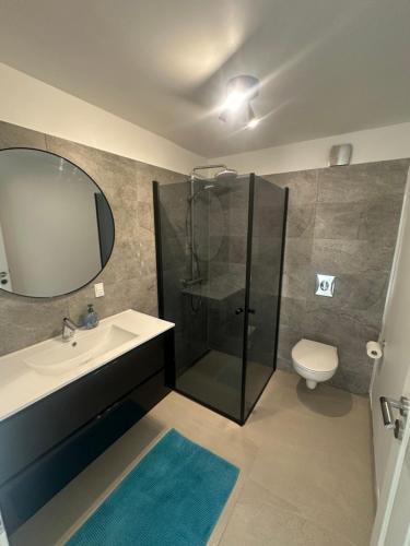 a bathroom with a shower and a sink and a toilet at SeaviewHouse Rudkøbing in Rudkøbing