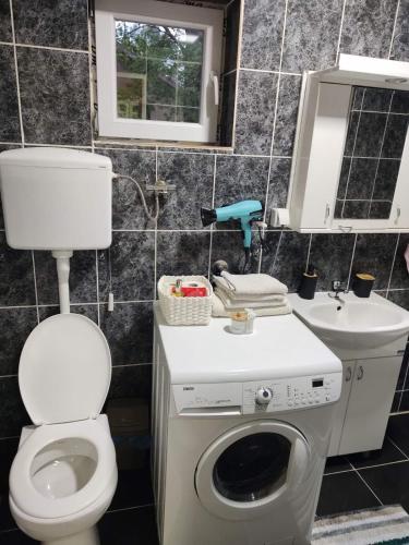 a bathroom with a toilet and a sink and a washing machine at Tiski raj in Bečej