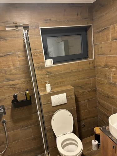 a small bathroom with a toilet and a sink at Zelena reka 4 in Vrhpolje