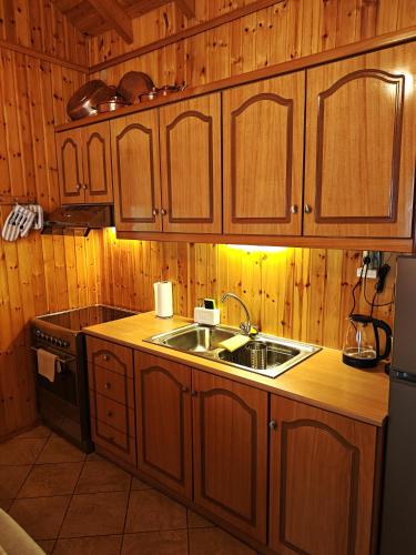 a kitchen with wooden cabinets and a sink and a refrigerator at Mountain Nook Melissourgoi in Melissourgoí