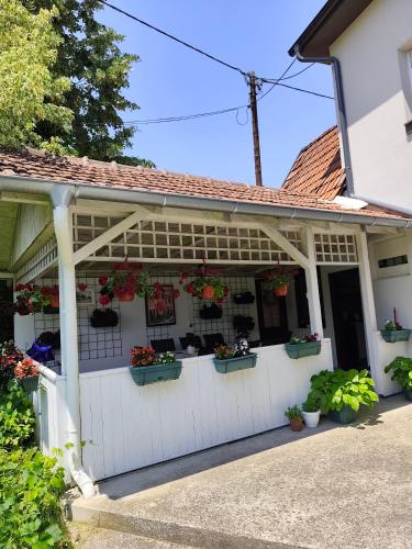 a white house with potted plants on the porch at Kuća JEKA in Vrnjačka Banja