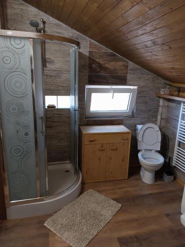 a bathroom with a shower and a toilet and a window at Chata v lese in Olbramkostel
