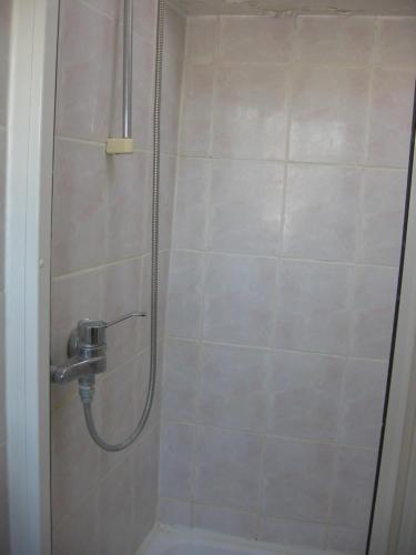 a shower with a shower head in a bathroom at Penzión Závada in Nová Lesná
