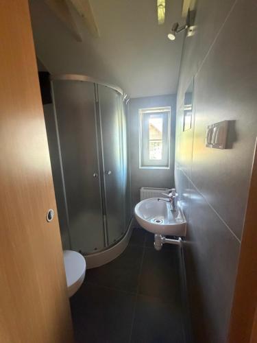 a bathroom with a shower and a sink at Pokoje Gościnne Nad Zalewem w Starej Morawie in Stronie Śląskie