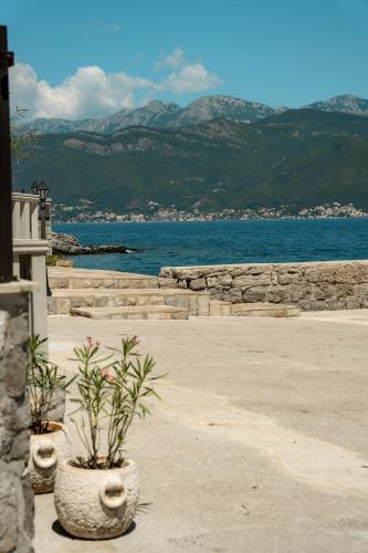two potted plants sitting on a sidewalk near the water at BlueWave Apartments in Tivat