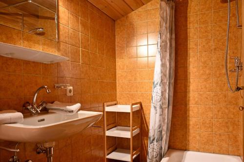 a bathroom with a sink and a shower at Haus Helene in Sankt Gallenkirch