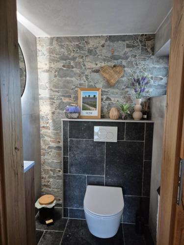 a bathroom with a toilet and a stone wall at Haarstubenhäusl Glückskäfer in Frankenfels