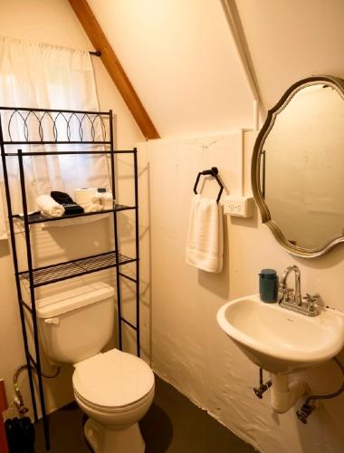 a bathroom with a toilet and a sink and a mirror at Boquete Firefly Inn in Boquete