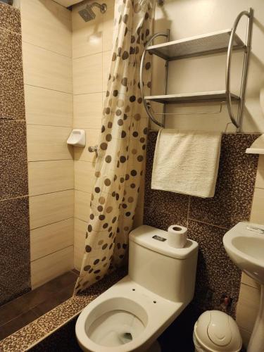 a small bathroom with a toilet and a sink at Hotel Palace in Huancayo