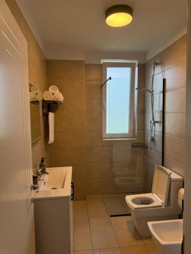 a bathroom with a toilet and a sink and a shower at Rrode Apartment Tale Beach in (( Shën Ded Gjoni ))