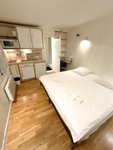 A Comfortable Apartment in Downtown Paris