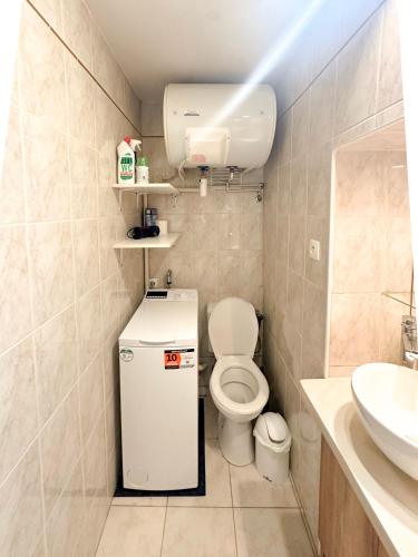A Comfortable Apartment in Downtown Paris