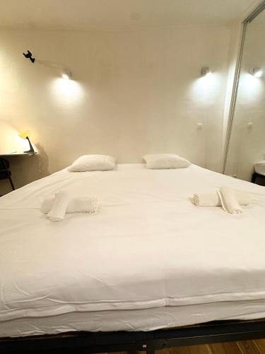 A Comfortable Apartment in Downtown Paris
