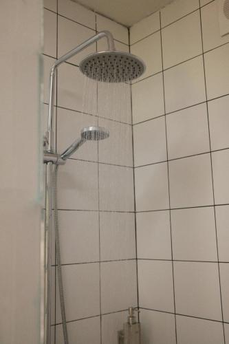 a shower with a shower head in a bathroom at Togonidze's Wine Cellar in Telavi