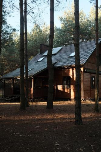 eine Holzhütte mit Bäumen davor in der Unterkunft Marusia in Wajków