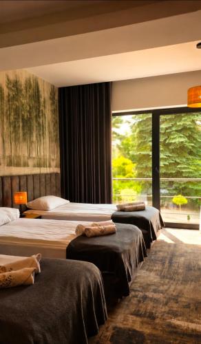a row of beds in a room with a window at Zacisze Nad Nidą Resort in Pińczów