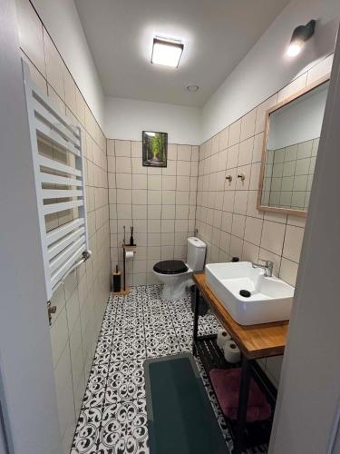 a bathroom with a sink and a toilet at Domek Wśród Pisarzy in Strawczynek